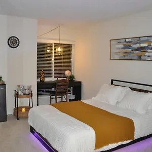 Private & Bathroom In Shared Oceanfront Home, Marina Del Rey , Los Angeles United States